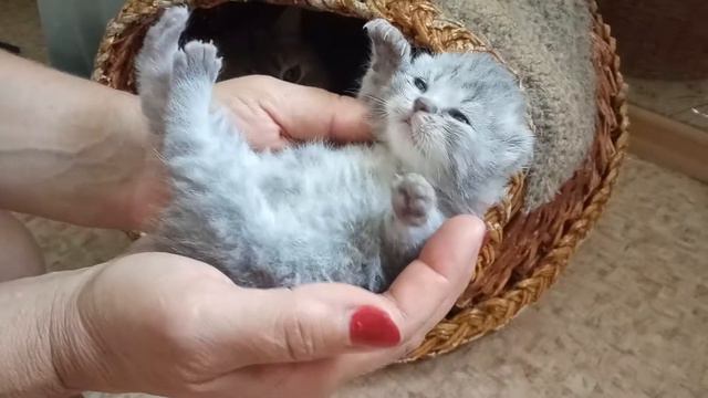 Ответы на самые актуальные вопросы