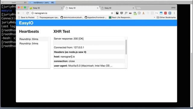 Client IP in NGINX reverse proxy смотреть онлайн