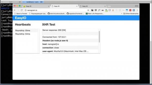 Client IP in NGINX reverse proxy