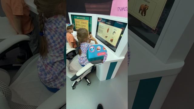 Экскурсия в дом полимеров на ВДНХ 2024