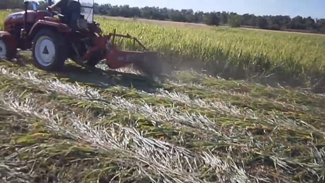 покос суданки роторной косилкой 2018