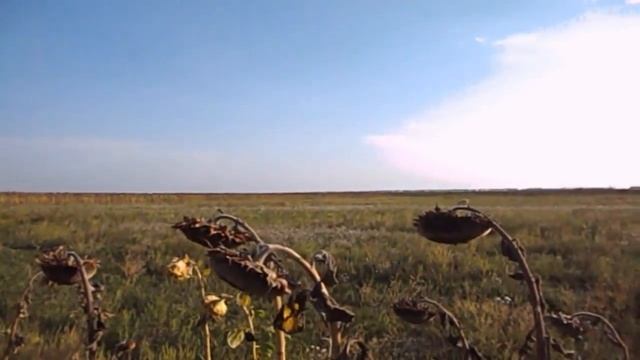 КЕМ РАБОТАЛ ОТЕЦ GRANDENIKO ДО ПОЕЗДКИ В ИТАЛИЮ