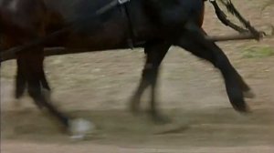 Долгий путь в школу (ГДР, 1982) с участием Гойко Митича