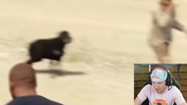 Whatever I do In GTA, Happens In Real Life смотреть онлайн