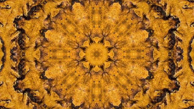 Indian Meditation Music: 20 Minutes Indian Flute Music, Yoga Music, Relax Music, Soothing Music 49Y