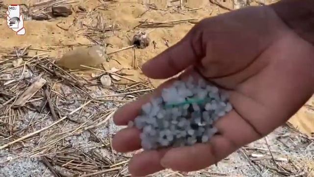 පමුණුගම දී ගිනිගත් නැව අපිට තවදුරටත් දෙන දේ смотреть онлайн