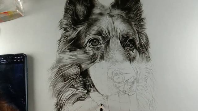Learn How to draw a Dog Step by Step easy for beginners. смотреть онлайн