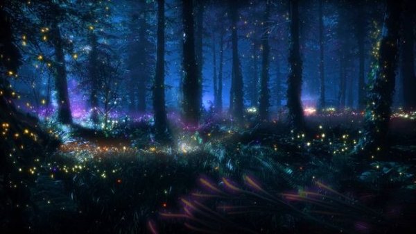 Enchanted magical forest 1 hour ambient