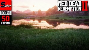 Red Dead Redemption 2 на 100% - [50-стрим] - Собирательство, испытания