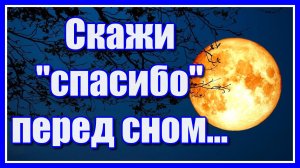Скажи «спасибо» перед сном... Красивое стихотворение Зили Аиповой и нежная мелодия Сергея Чекалина!
