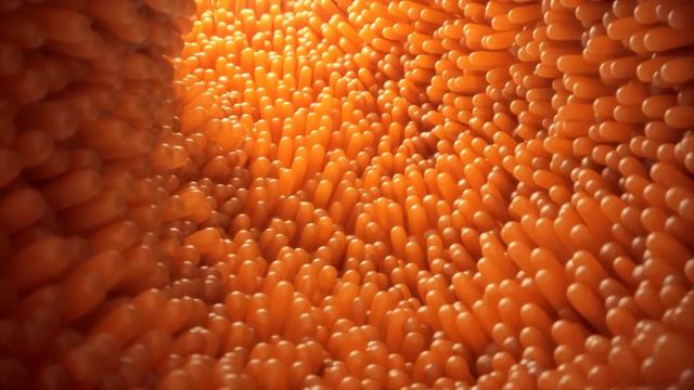 Khushk Khubani: Apni JAWANI Wapas Layen! Dried Apricot Benefits | Dr. Ibrahim смотреть онлайн