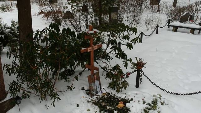 Латвия, Яндубултское кладбище, аэросъемка кладбища и могилы Михаила Николаевича Задорнова смотреть онлайн