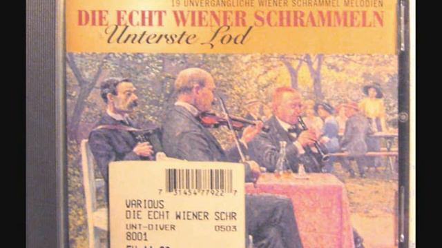 Gerhard Heger Herrgott, wie schön bist du Wien смотреть онлайн