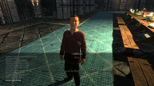 Screwing Around with Skyrim's Console - The Child смотреть онлайн