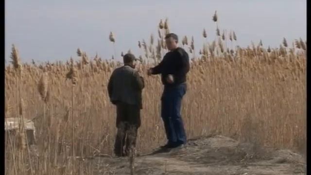 Отстрел волков в Тарумовском районе смотреть онлайн
