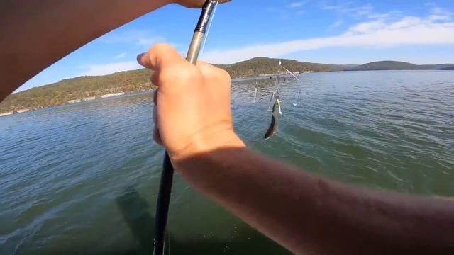 Finding The BIG ONES! MLF Toyota Championship Bass Fishing Tournament Practice! смотреть онлайн