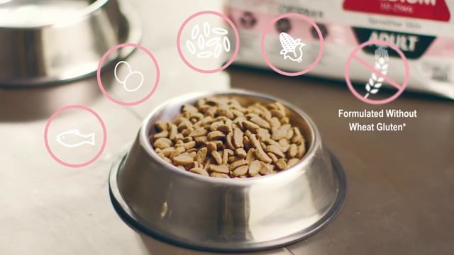 PURINA® PRO PLAN® Sensitive Skin with OPTIDERMA® смотреть онлайн