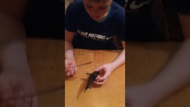 2 ЧАСТЬ ОБЗОРА АКУЛЫ КОТОРАЯ РАСТЁТ В ВОДЕ смотреть онлайн