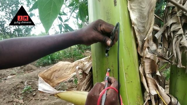 Green Aloevera Electricity/Aloevera Cell/Green ? Trees Electricity/கற்றாழை ஜெல் மின்சாரம்
