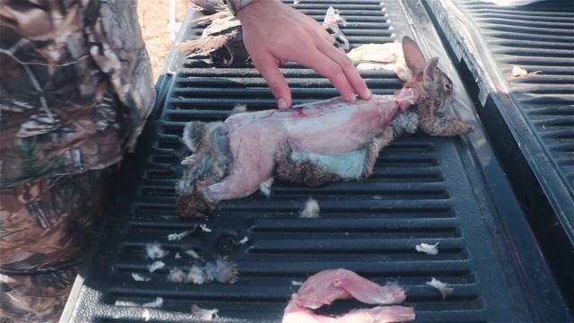 Nate Shows GUTLESS Method for Cleaning a Rabbit смотреть онлайн