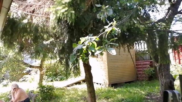 Продажа Части дома с земельным участком в Химках мкр Сходня смотреть онлайн
