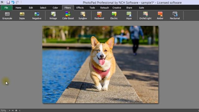 PhotoPad Photo Editor Tutorial | Interface Overview
