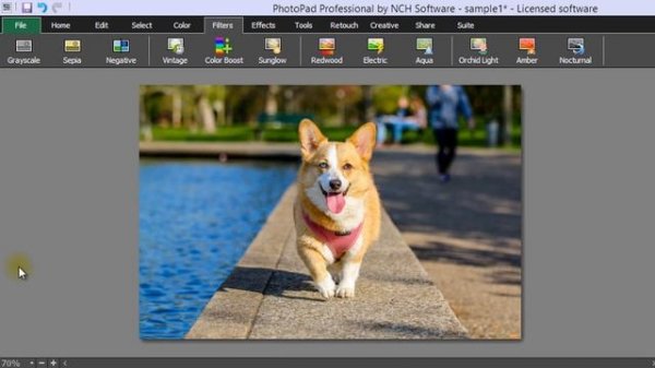 PhotoPad Photo Editor Tutorial | Interface Overview