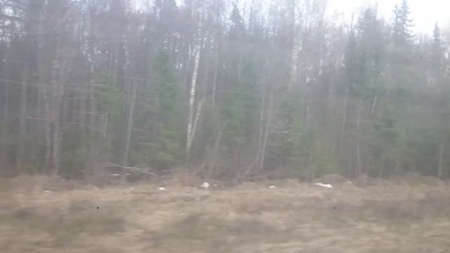 Север Нижегородской области от Тоншаево до Шахуньи из окна электрички Пижма Шахунья Nizhny Novgoro смотреть онлайн