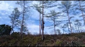 прикол, юмор полёт ястреба п. Чля