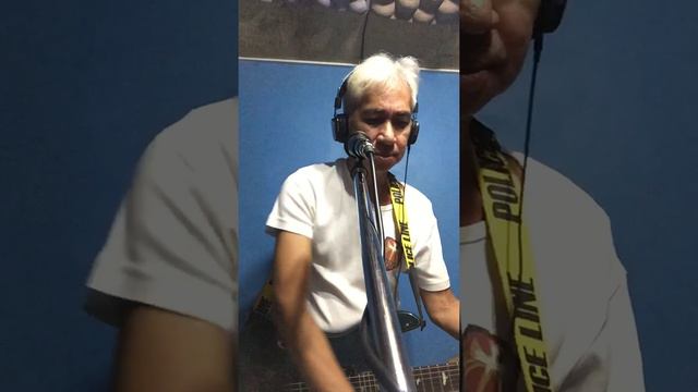 Whole Wild World (Wreckless Eric, song cover) Pandemic Hermit (interpretations) meet the Barber смотреть онлайн