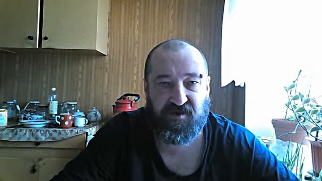 Кот и пес. На природе. Сказка смотреть онлайн