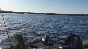 Ловим сома.Рефтинское водохранилище!