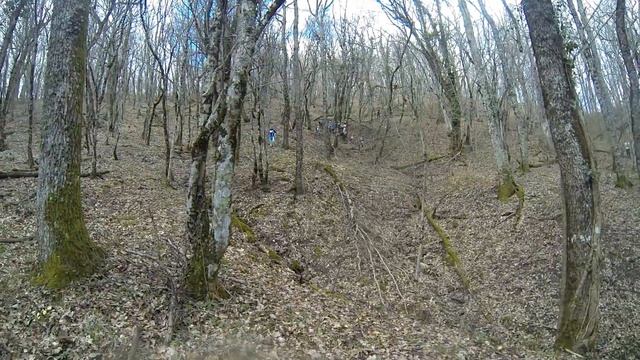 Соревнования по ориентированию Черное море 19 смотреть онлайн