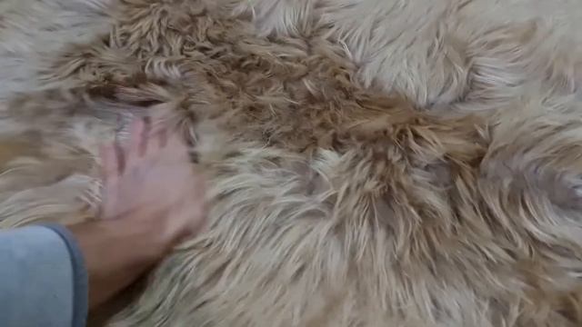 ОВЕЧЬЯ ШКУРА ОРИГИНАЛЬНОЙ БЕЖЕВОЙ РАСЦВЕТКИ (КОД: 4936) смотреть онлайн