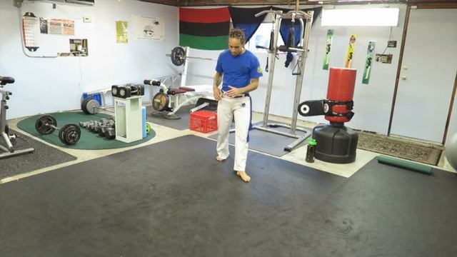 Entry 18#365leao Capoeira Instruction Now Available with V Fit Subscription смотреть онлайн