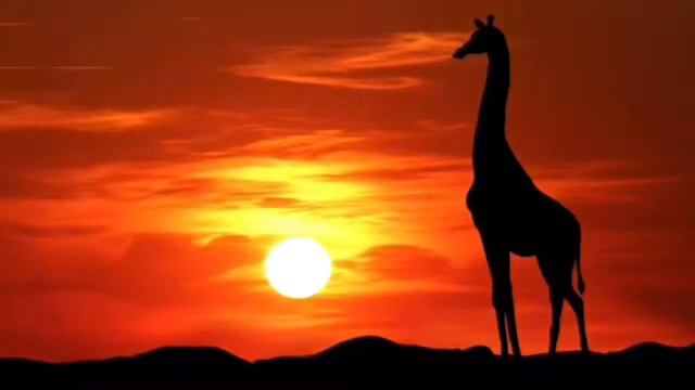 «Жираф» Николай Гумилёв смотреть онлайн