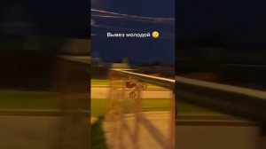 Стант на питбайке, стант на питбайке 160 кубов, стант на питбайке 140 кубов, стант