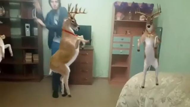 Рождественские олени смотреть онлайн