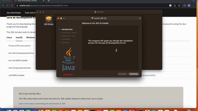 How to download JAVA 20 on MAC OS смотреть онлайн