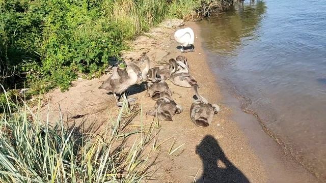 4 дня на яхте из яхтклуба Калининграда  в гидрогавань Балткосы