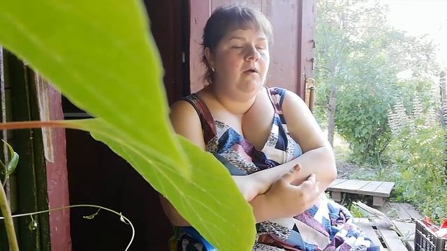 РЕШИЛАСЬ! Поехала ОДНА с детьми на ДАЧУ//Отвечаю на КОММЕНТАРИИ//что УСПЕЛА сделать//БУДНИ МАМЫ смотреть онлайн