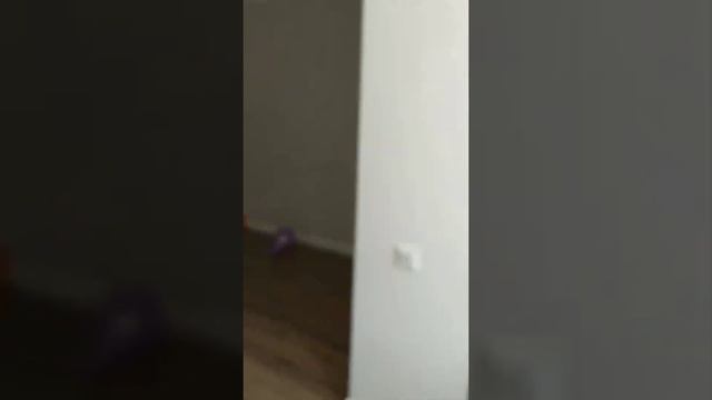 video 2021 03 04 10 37 40 смотреть онлайн