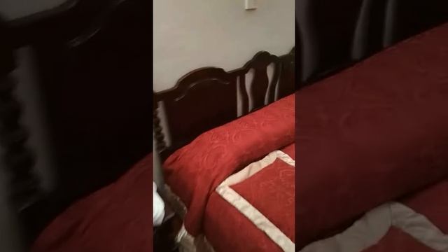 Номер гостинице Мирского замка. Часть 2 смотреть онлайн