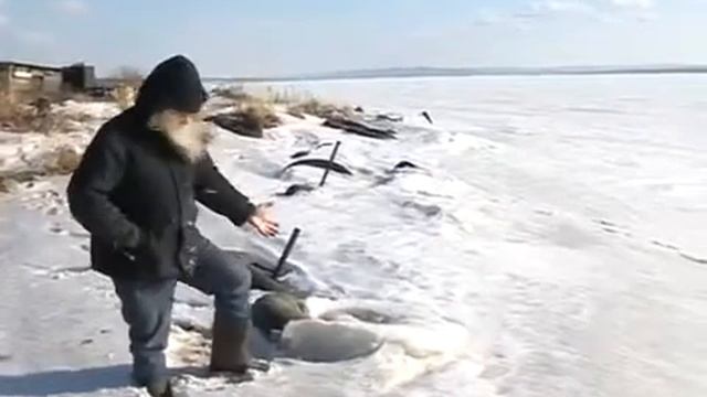 продолжения мема ви кто такие!? я вас не звал идите на!?