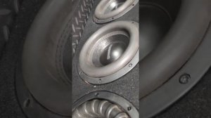 Сабвуфер 8 дюймов 4 штуки Динамик Стейт 304 от усилителя кикс 1.1000