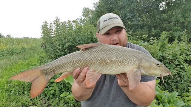 BARBEL AND CHUB FISHING ON THE MIDDLE SEVERN - KORUM XCALIBRE RODS
