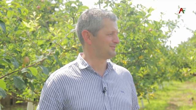 Анхаҩы. Дауҭ Кәыҵниа - Аҭара ақыҭа смотреть онлайн