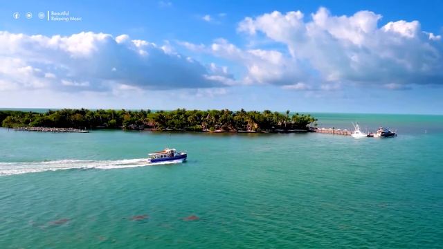 Música Relajante Para Descansar La Mente,Estrés, Ansiedad, Meditación, Relajarse Y Dormir #32