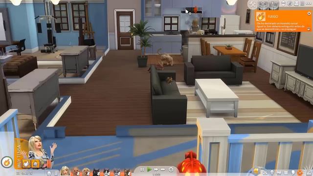 Paso 24 horas en los SIMS 4 con Luna y Estrella los gatitos ¿se nos quema la casa? / Videos de gato смотреть онлайн