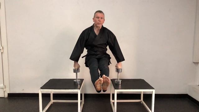 КЕНКОДО КАРАТЭ : упражнение "Уголок" в стойке на кулаках на гантелях. смотреть онлайн